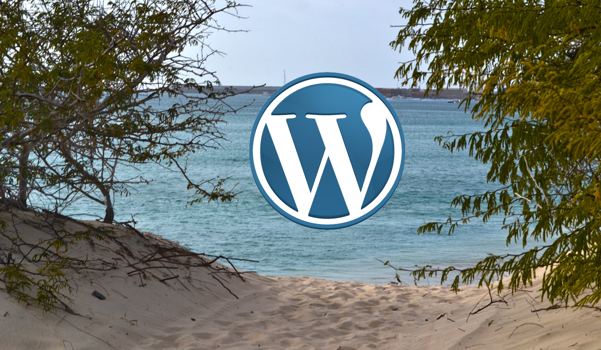 Print the first picture from a wordpress post