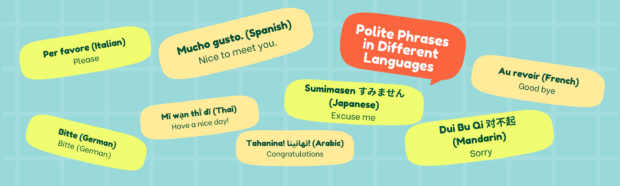 What is the best translation plugin for WordPress- Polylang or Translatepress - Banner for blog post